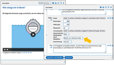 Screenshot Einstellungen am Standard-Block "Video"